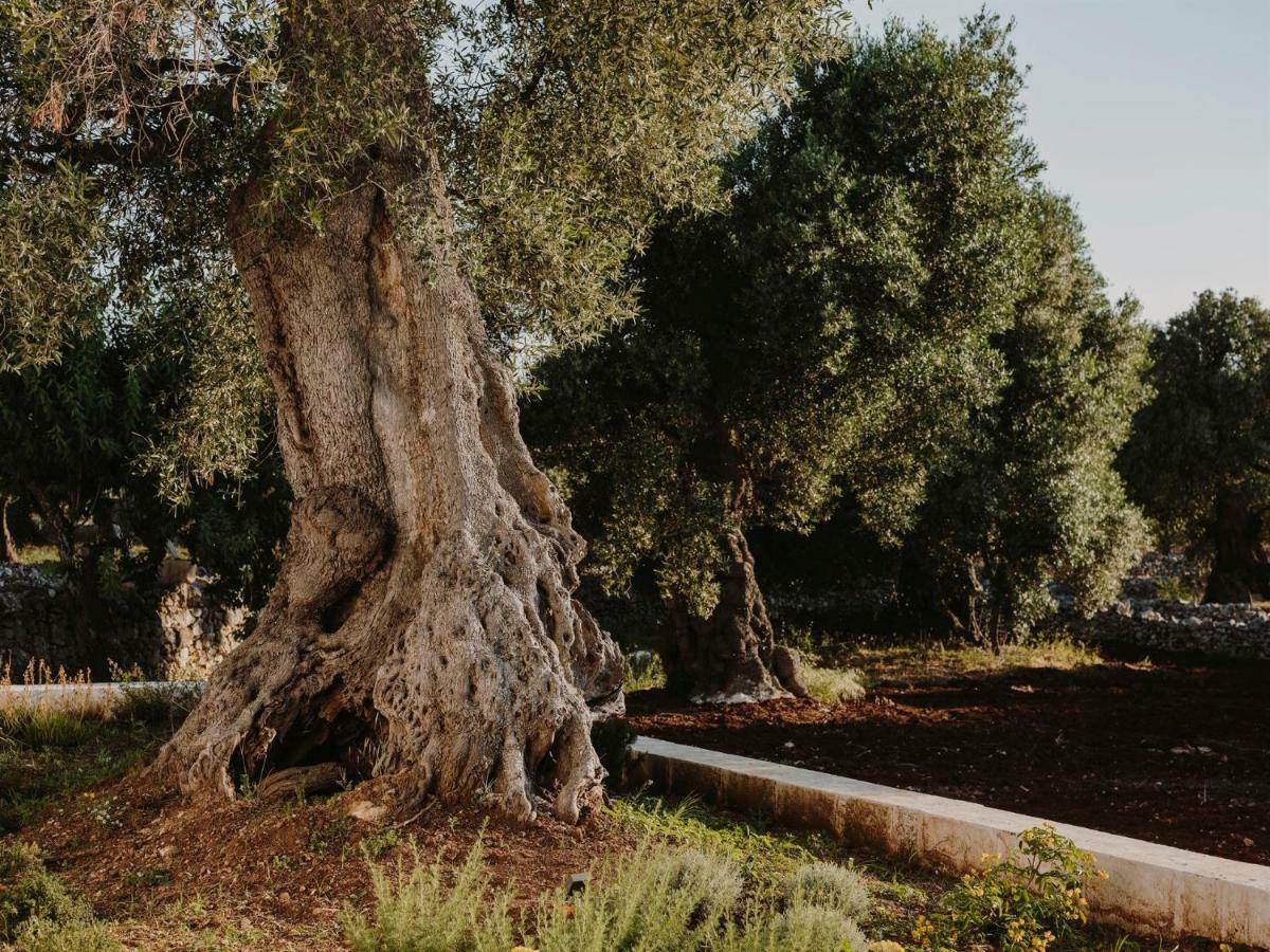 אוסטוני Masseria Dagilupi מראה חיצוני תמונה